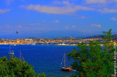 Cannes vue de l'ile  Ste Marguerite: le jour