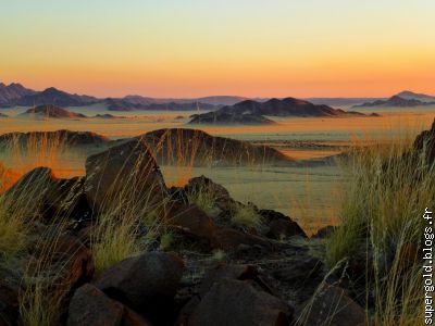 dans le désert du Namib, en Namibie