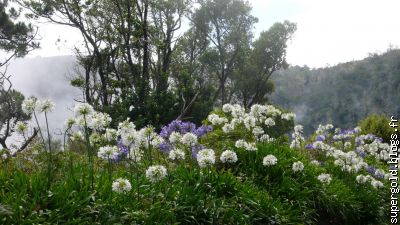 des milliers, au bord des routes de montagne