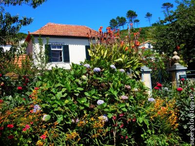 toutes les maisons sont fleuries