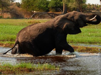 sortie du bain en pleine forme