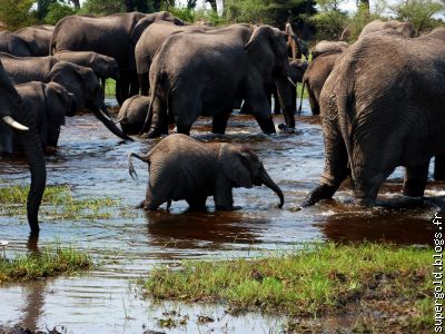 on apprend très tôt aux bébés à aimer l'eau