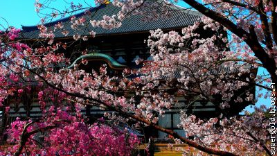 temple de Nara